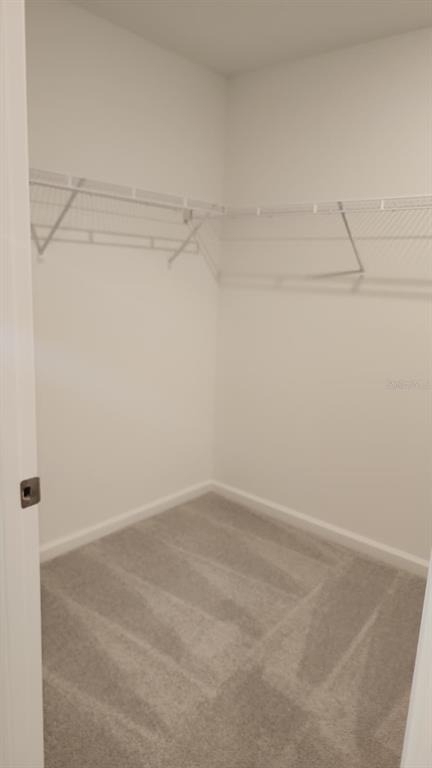 2189 Lasso Loop - Photo 9