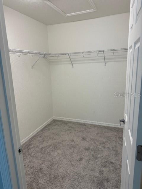 3071 Fieldwood Circle - Photo 14