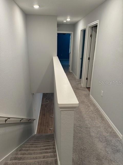 3071 Fieldwood Circle - Photo 18