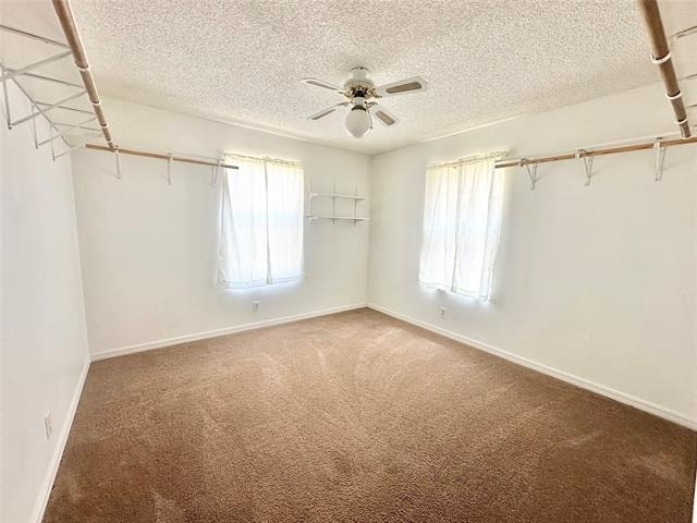 2829 Bailey Lane - Photo 13