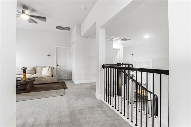7028 Capanna Trail - Photo 24