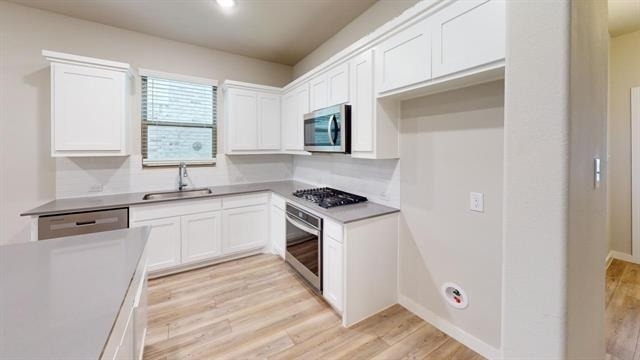 1323 Great Sand Dune Street - Photo 3