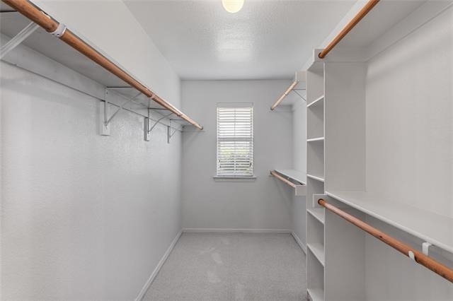 141 Shumard Drive - Photo 27