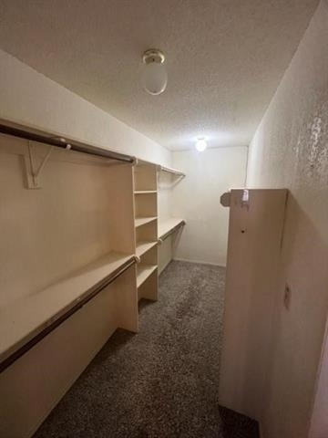 553 Raintree Circle - Photo 12