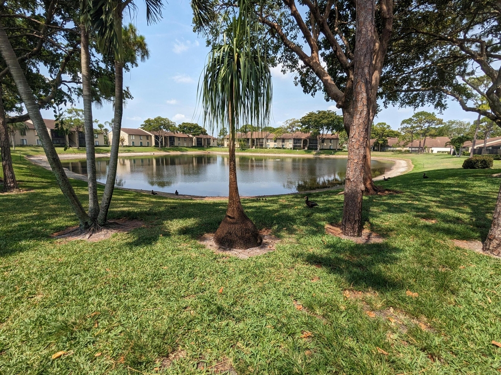 711 Sunny Pine Way - Photo 2