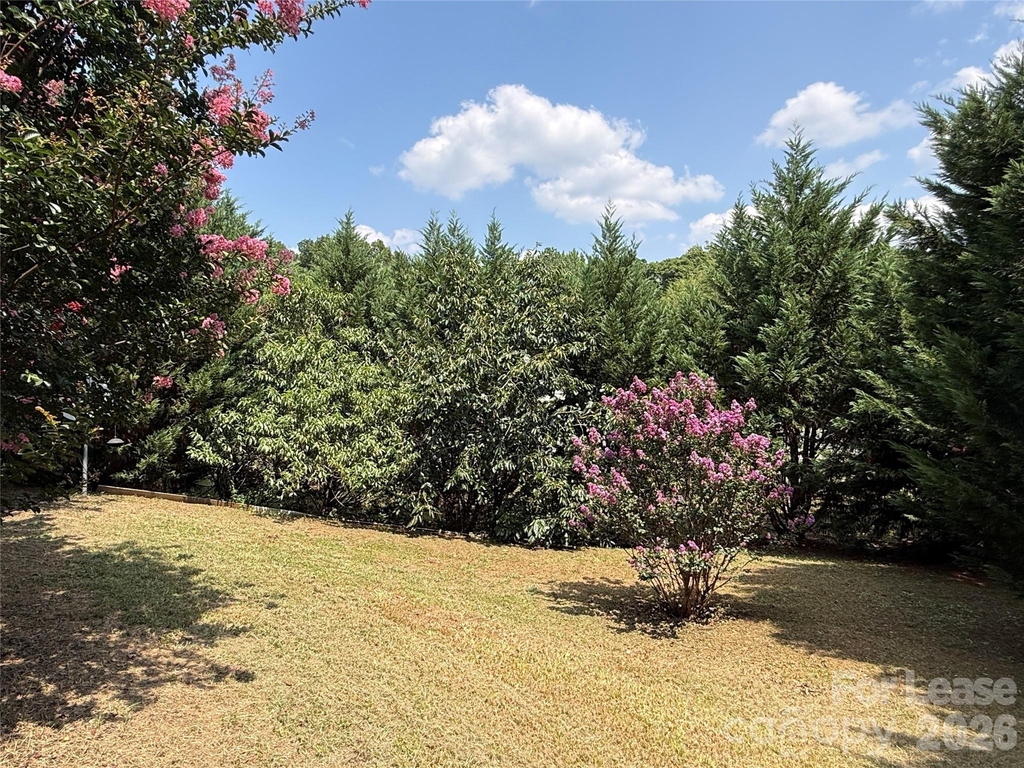4820 Lynn Lee Circle - Photo 19