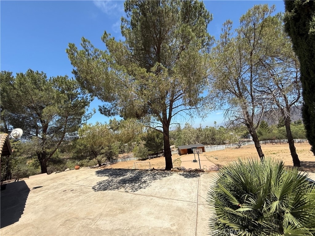27258 Kiavo Drive - Photo 44