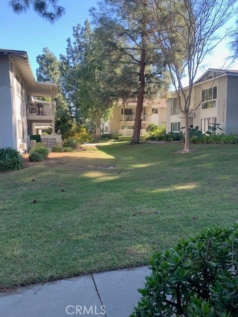 279 Avenida Carmel - Photo 14