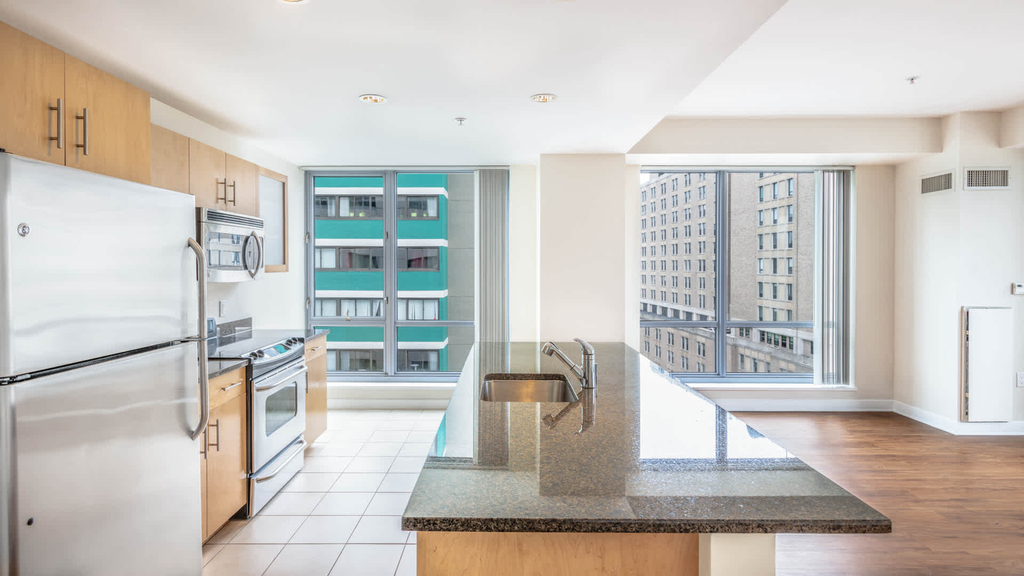 4 Emerson Place - Photo 6