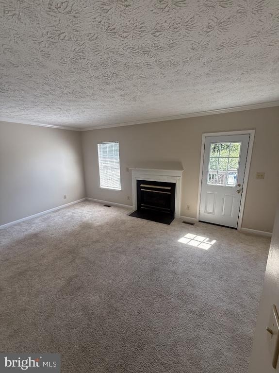 304 Tolbelt Court - Photo 1