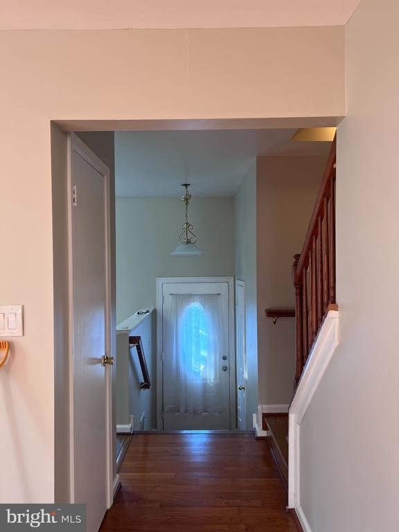 7419 Courtland Circle - Photo 1