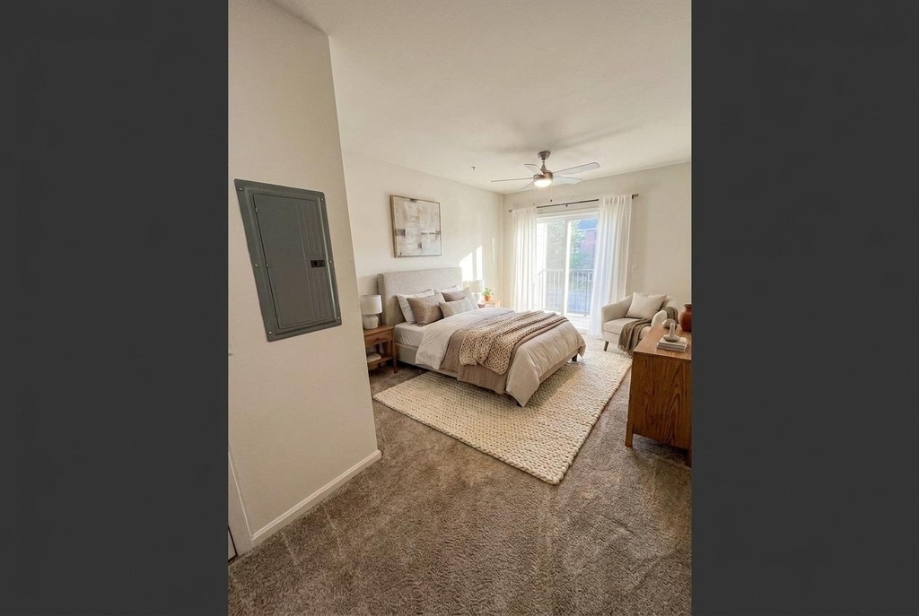 11397 Aristotle - Photo 34