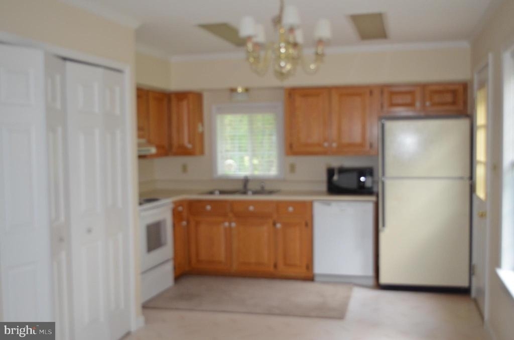 43987 Sandy Bottom Road - Photo 1