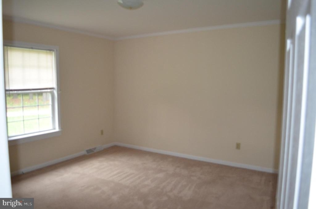 43987 Sandy Bottom Road - Photo 3