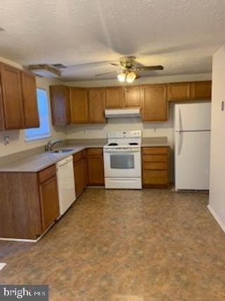 11231 Joyceton Drive - Photo 2