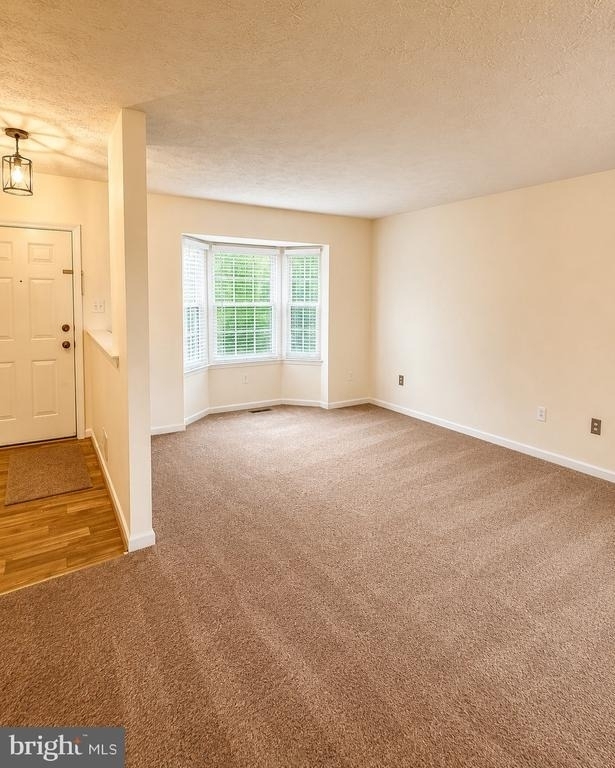 7719 Ora Court - Photo 2