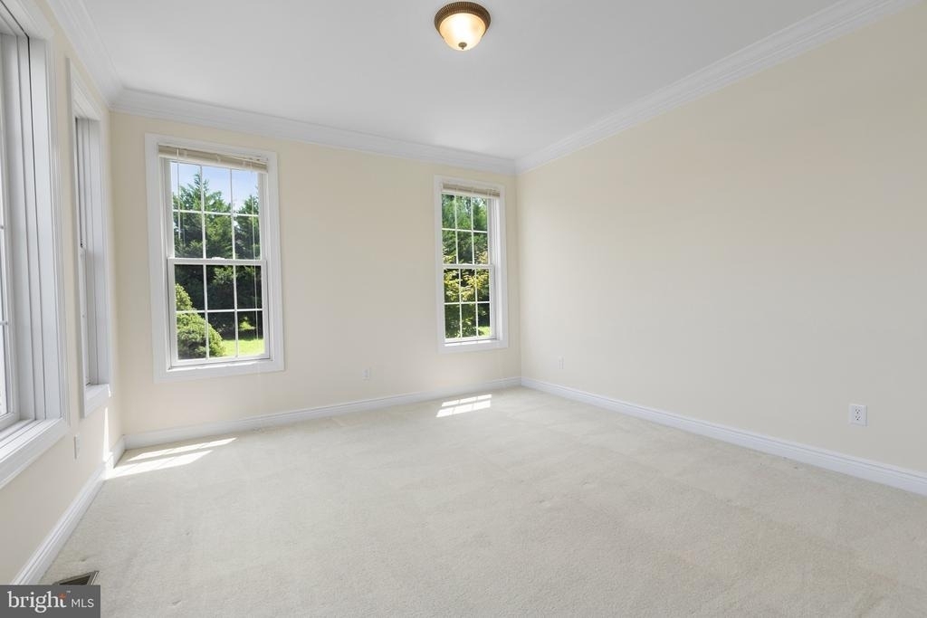 29115 Finch Lane - Photo 4