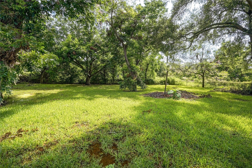 1319 Elm Street - Photo 45
