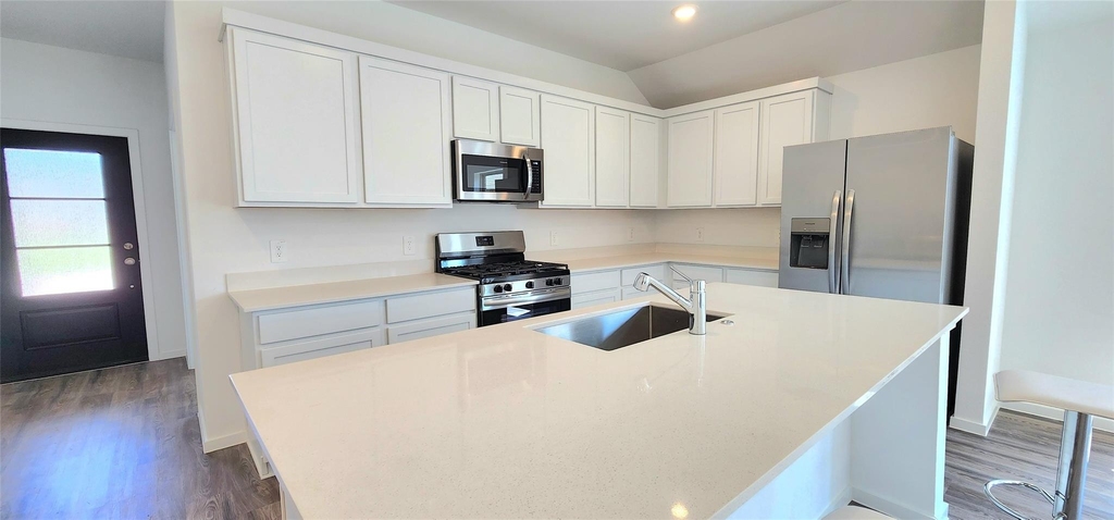 22566 Pagoda Dogwood Branch - Photo 4
