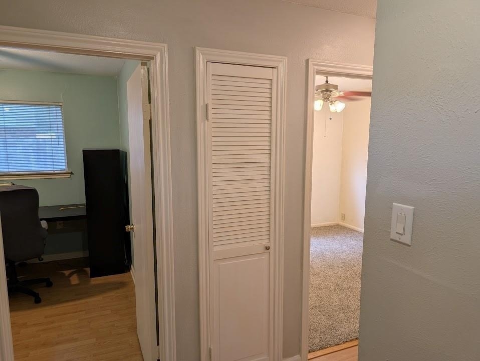 9830 Thistle Trail Drive - Photo 7