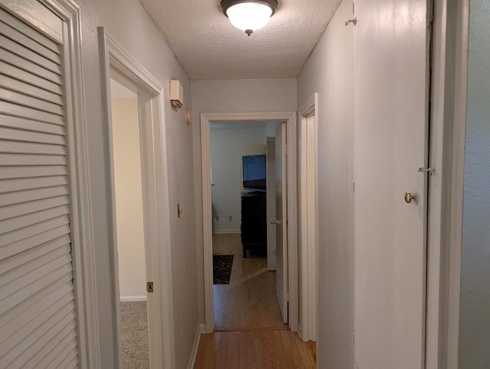 9830 Thistle Trail Drive - Photo 10