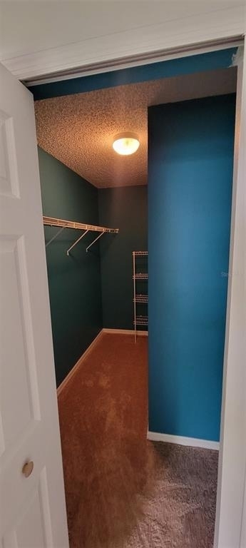 226 Agua Vista Street - Photo 11