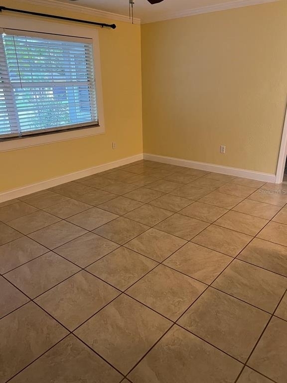 818 Scotland Street - Photo 4