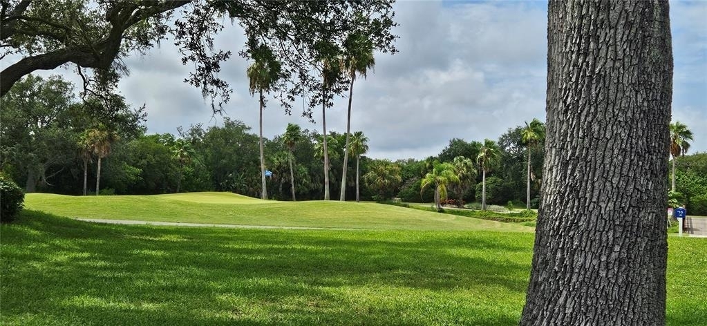 2617 Cove Cay Drive - Photo 16