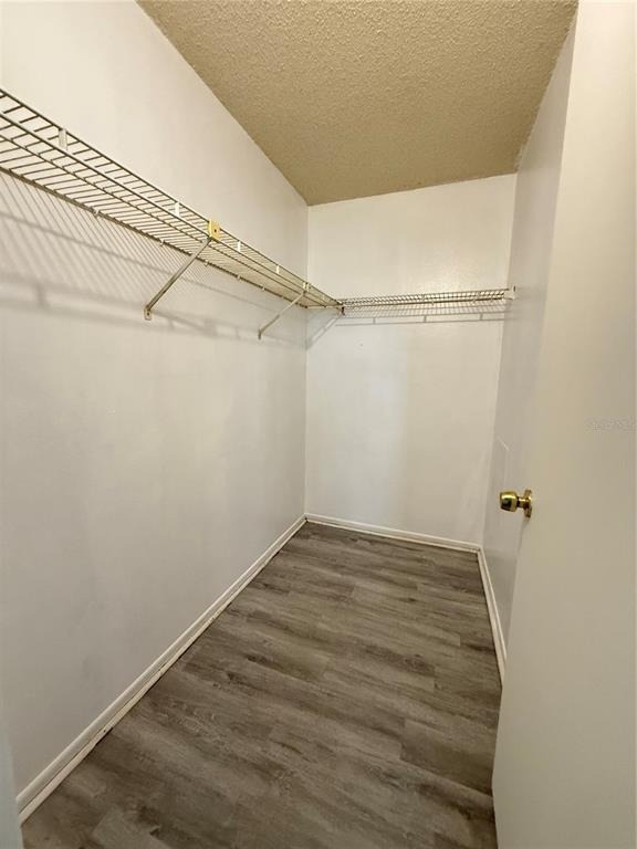 14308 Hanging Moss Circle - Photo 24