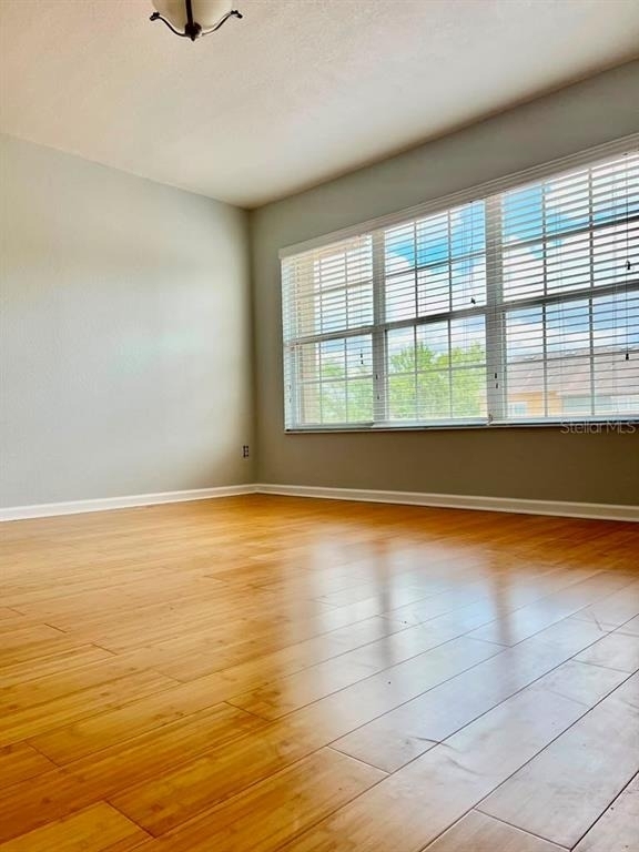 7713 Jailene Drive - Photo 7