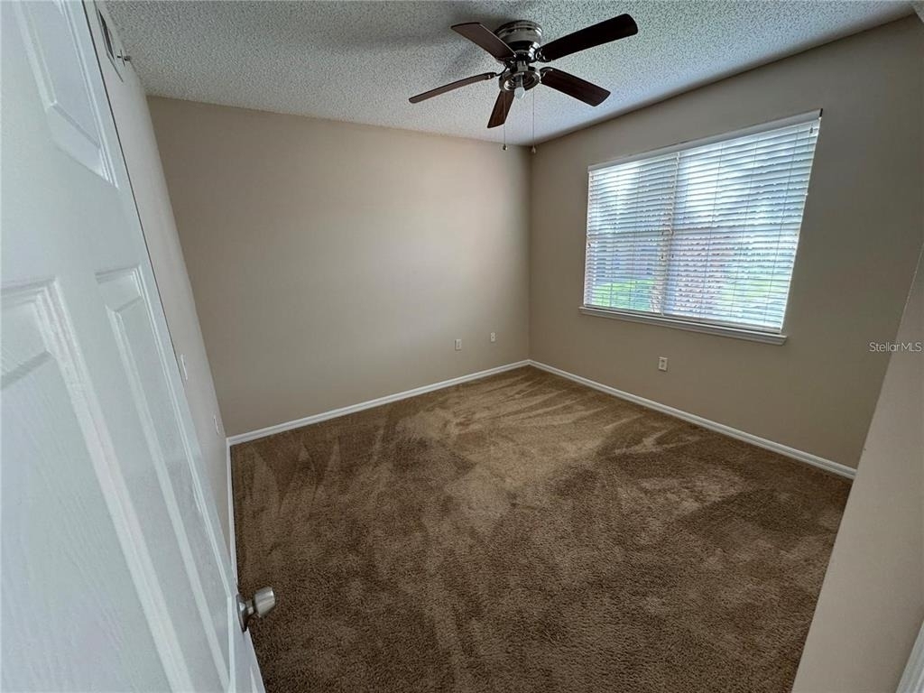 10831 Windsor Walk Drive - Photo 9