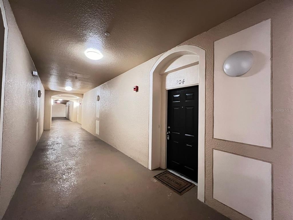 2484 San Tecla Street - Photo 1