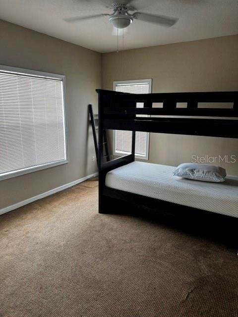 4802 51st Street W - Photo 8