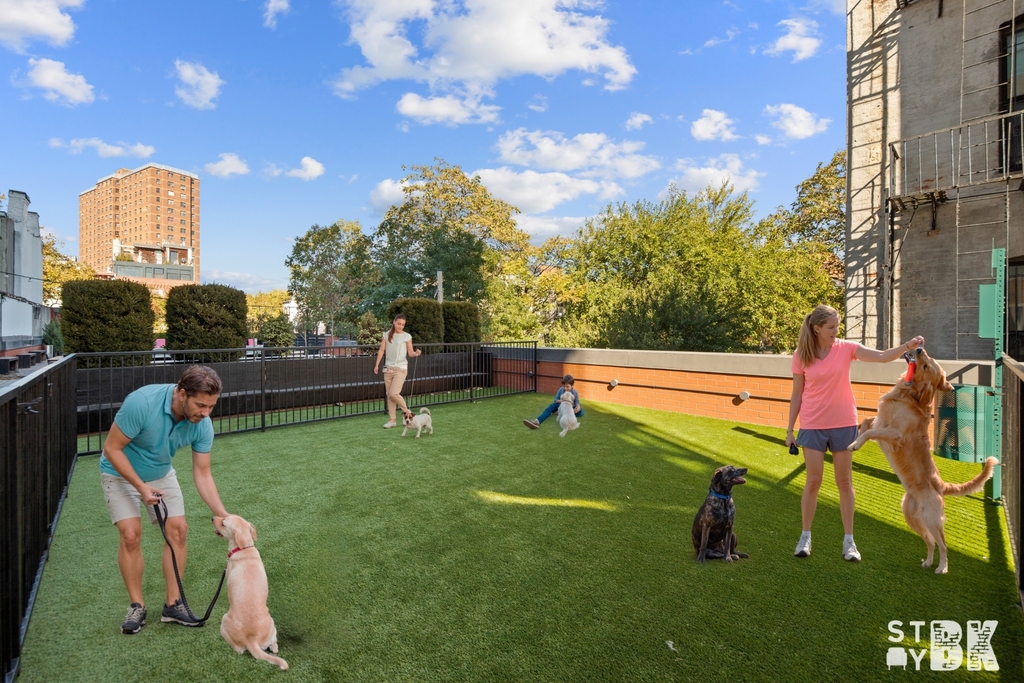 Greene Avenue & Classon Avenue  - Photo 11