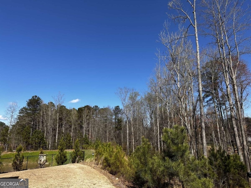 3075 Summerpoint Crossing - Photo 13