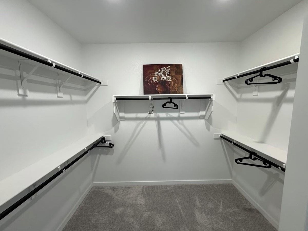 229 Invermore Drive - Photo 3