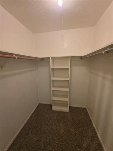 2604 Candleberry Drive - Photo 8