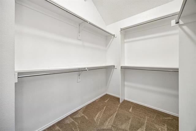 11002 Brandenberg Drive - Photo 19