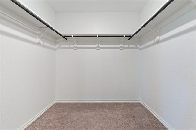 2833 Bellflower Drive - Photo 25