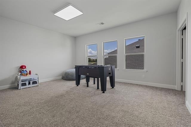 913 Gingham Street - Photo 14