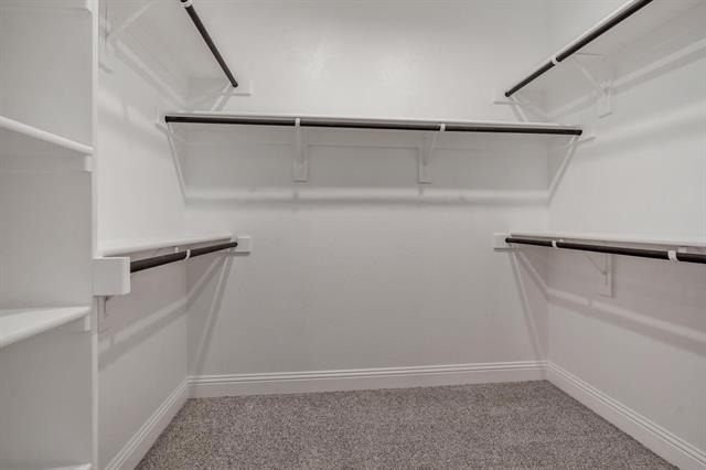 2615 Flycatcher Drive - Photo 10