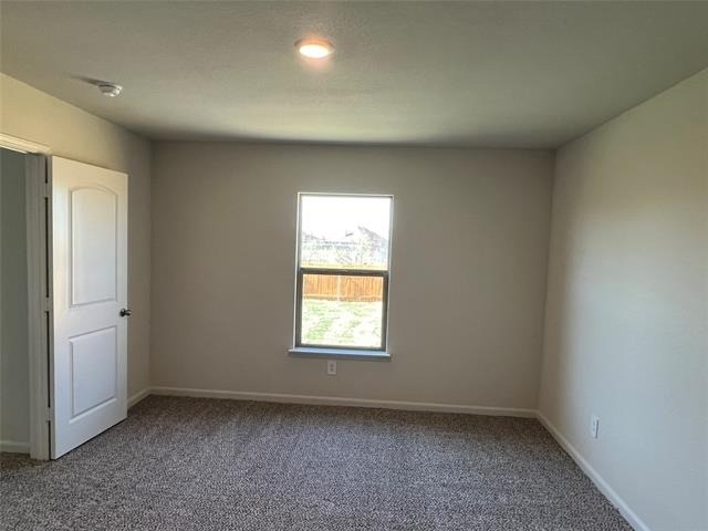 3005 Boran Drive - Photo 9