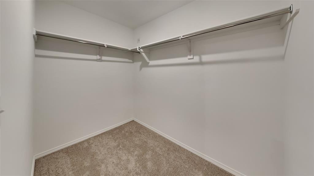 10041 Blackjack Road - Photo 7