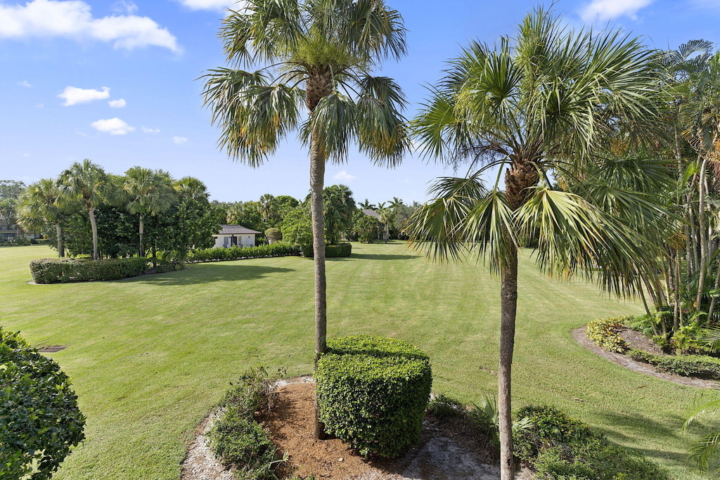 13334 Polo Club Road - Photo 25