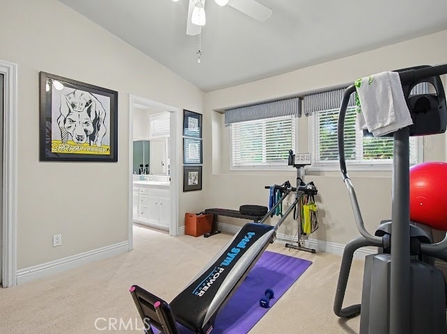 4443 Callada - Photo 13