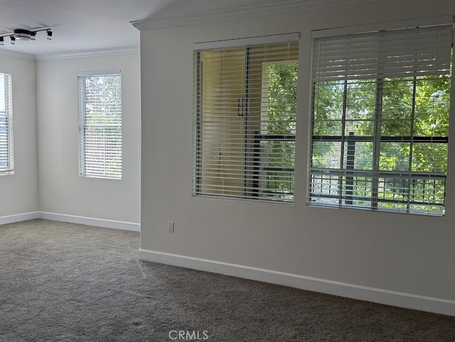 2341 Watermarke Place - Photo 5