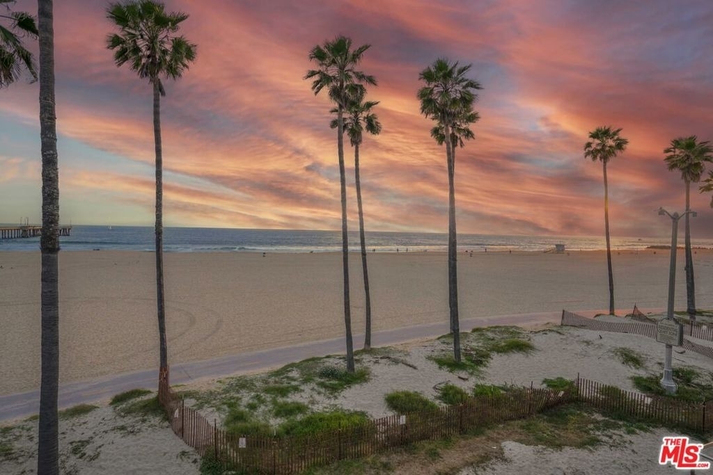 2909 Ocean Front Walk - Photo 22
