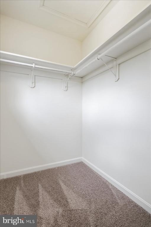 32 Mabel Lane - Photo 24