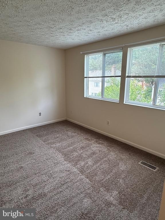 12866 Bison Court - Photo 10