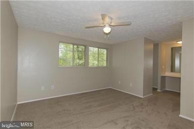 11556 Ivy Bush Court - Photo 12